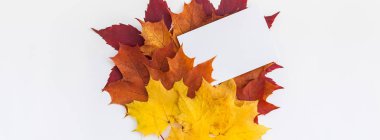 Sonbahar kart mockup yaprakları