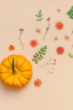 Kabaklar kurutulmuş çiçekler ve yaprakları çerçeve