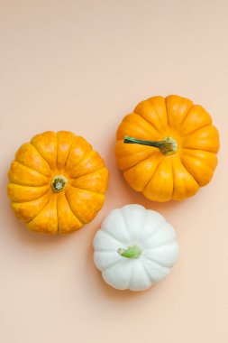 Küçük kabaklar ile sonbahar arka plan