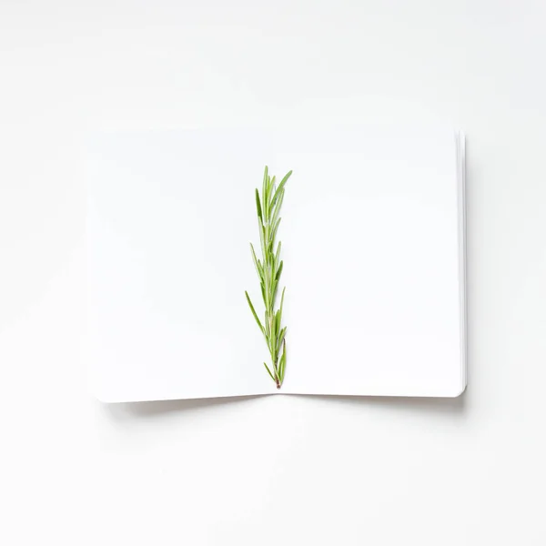 Blanco Kladblok pagina's met rozemarijn twig — Stockfoto