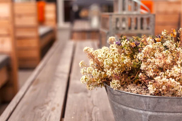 Квіти з горщиками на дерев'яному столі на відкритому повітрі — стокове фото