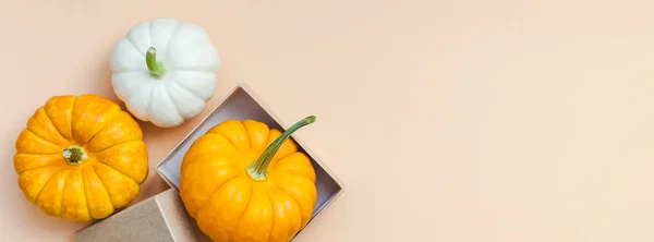 Fall background with small pumpkins — Stock Photo, Image