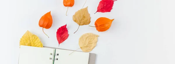 Cuaderno con flores y hojas secas voladoras — Foto de Stock