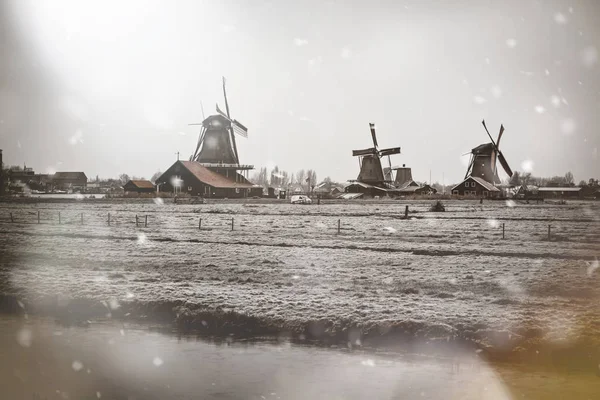 Zaanse Schans windmills rural winter landscape — Stock Photo, Image