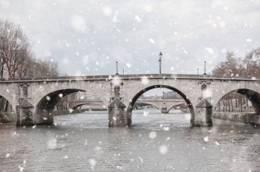 Seine Nehri, köprüler, kasvetli kış gününde Paris
