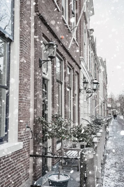 Delft residential district — Stock Photo, Image