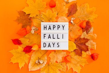 Sonbahar düz tatil kompozisyon yatıyordu