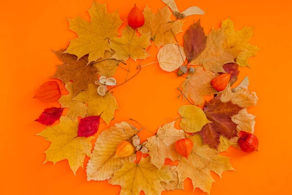 오렌지 색 배경에 마른 잎 화환 프레임 — 스톡 사진