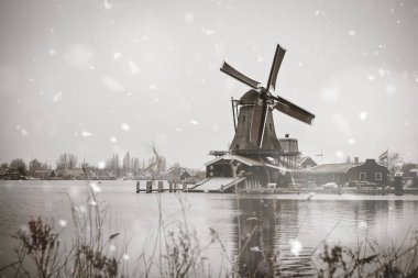 Zaanse Schans yel değirmenleri kırsal kış manzara