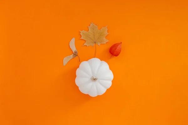 Composição plana de outono com abóbora branca — Fotografia de Stock