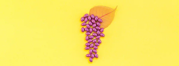 Näringstillskott Vindruvskärnextrakt piller — Stockfoto