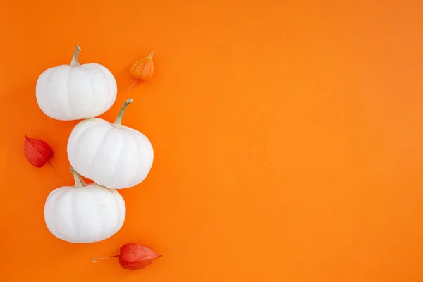 Herfst platte lay compositie met witte pompoenen — Stockfoto