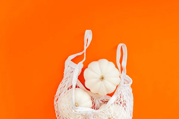 Concept zéro déchet avec citrouilles d'automne — Photo