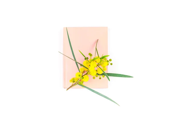 Mimosa and pink notepad on white background — Stock Photo, Image