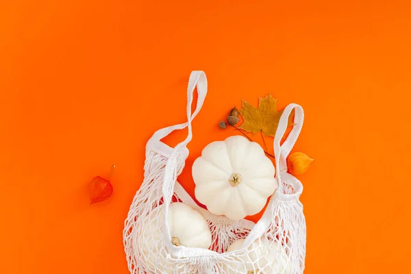 Concepto de cero residuos con calabazas de otoño — Foto de Stock