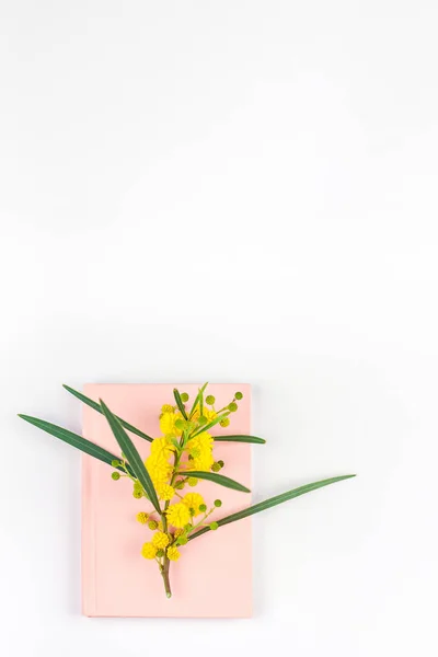 Mimosa en roze Kladblok op witte achtergrond — Stockfoto