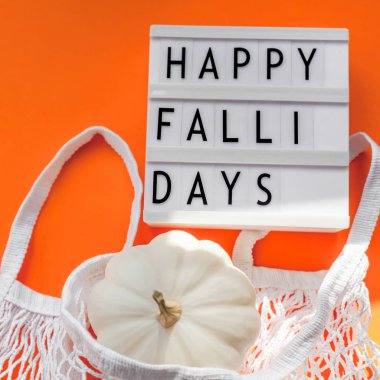 Sonbahar kabakları ile sıfır atık kavramı