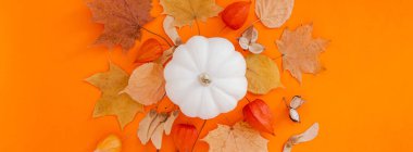 Beyaz kabak ile Sonbahar düz yatıyordu kompozisyon