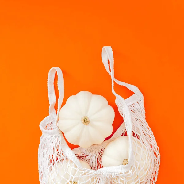 Zero waste concept with autumn pumpkins — Stock Photo, Image