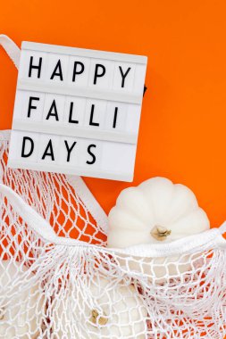 Sonbahar düz kompozisyonu, kalın turuncu arka planda beyaz balkabaklarıyla örgü alışveriş torbasında yatıyordu. Yaratıcı sonbahar, şükran günü, sonbahar, cadılar bayramı konsepti sıfır israf tarzında. Üst görünüm, alanı kopyala