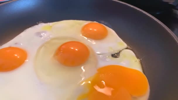 Gotowanie Domowej Roboty Smażonego Jajka Patelni Poranne Śniadanie Zbliżenie Wideo — Wideo stockowe