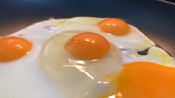 식사로 집에서 계란을 냄비에서 요리하는 모습을 클로저 — 비디오