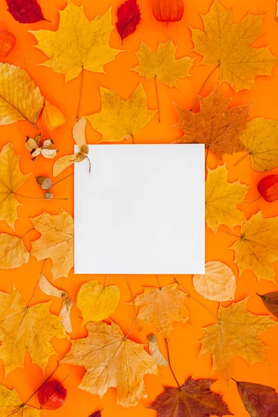 Sonbahar Düz Kompozisyonu Koyu Turuncu Arka Planda Kartpostal Modeli Kuru — Stok fotoğraf