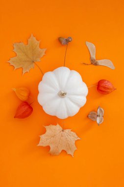 Sonbahar düz kompozisyonu beyaz balkabakları ve koyu turuncu arka planda kuru yapraklar ile yatar. Yaratıcı sonbahar, şükran günü, sonbahar, cadılar bayramı konsepti. Üst görünüm, alanı kopyala