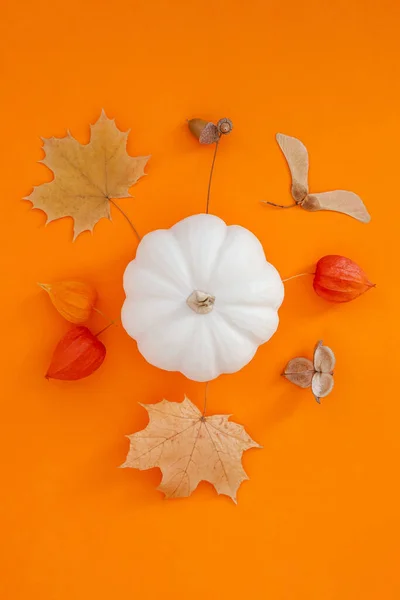 Осенняя Плоская Композиция Белыми Тыквами Сухими Листьями Жирном Оранжевом Фоне — стоковое фото
