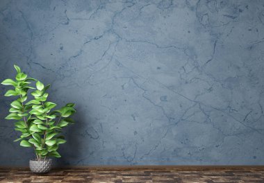 Sıva duvarlı odanın iç arka planı ve bitki ile vazo