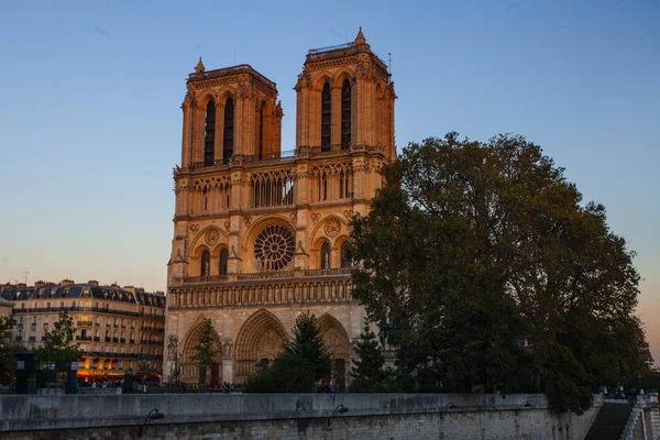 Notre Dame Katedrális Ile Cite Párizs Franciaország — Stock Fotó