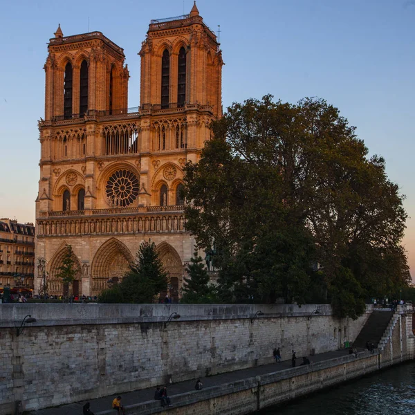 Cattedrale Notre Dame Sull Ile Cite Parigi Francia — Foto Stock