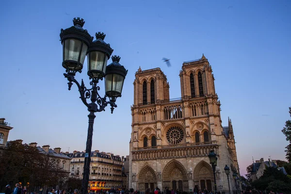 Notre Dame Katedrális Ile Cite Párizs Franciaország — Stock Fotó