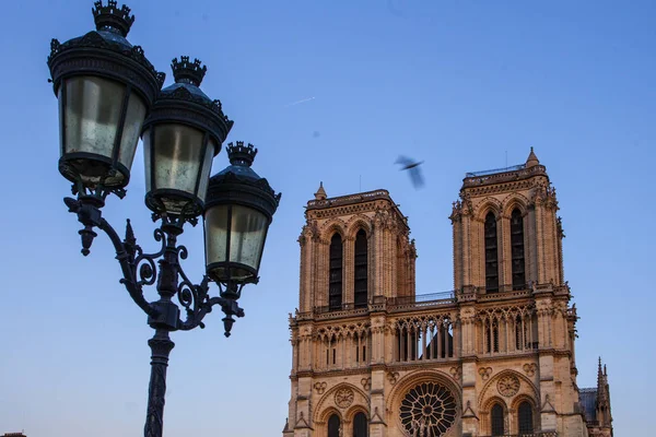 Notre Dame Cathedral Ile Cite Paris France — Stock Photo, Image