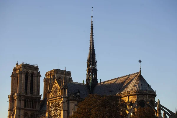 Notre Dame Paris Cathedral Paris Português França — Fotografia de Stock