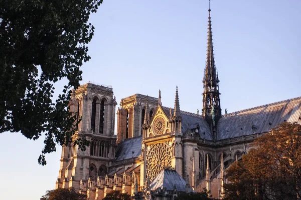 Catedral Notre Dame París París Francia —  Fotos de Stock