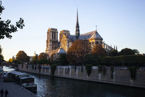 Notre Dame Paris Katedrali Paris Fransa — Stok fotoğraf