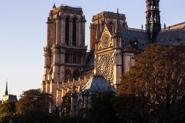 Notre Dame Paris Cathedral Paris Português França — Fotografia de Stock