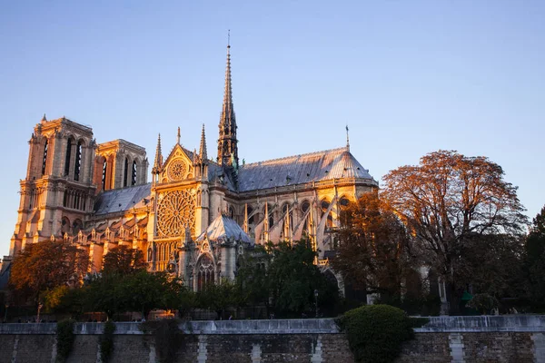 Notre Dame Paris Cathedral Paris Português França — Fotografia de Stock