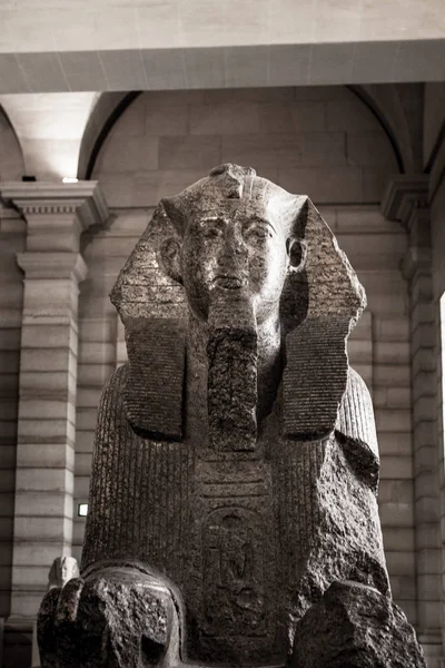 Parigi Francia Ottobre 2016 Sfinge Tanis Museo Del Louvre Ottobre — Foto Stock