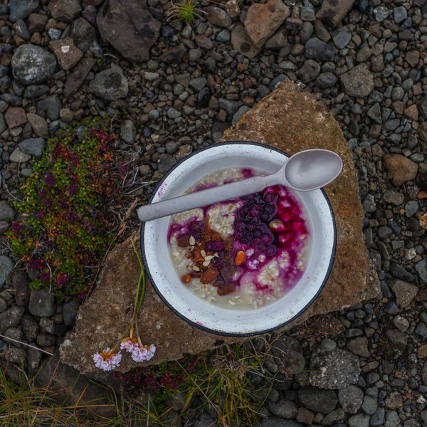 Café Manhã Natureza Vida Selvagem Com Porrige Bagas Frescas — Fotografia de Stock