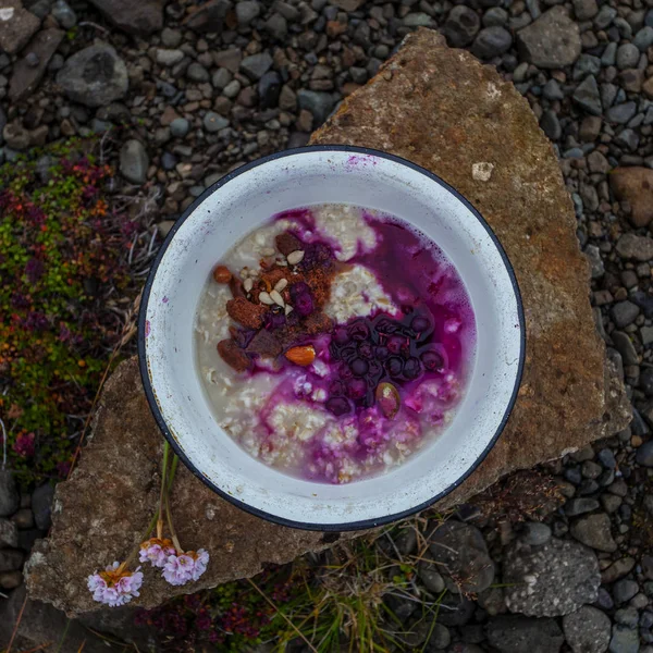 Café Manhã Natureza Vida Selvagem Com Porrige Bagas Frescas — Fotografia de Stock