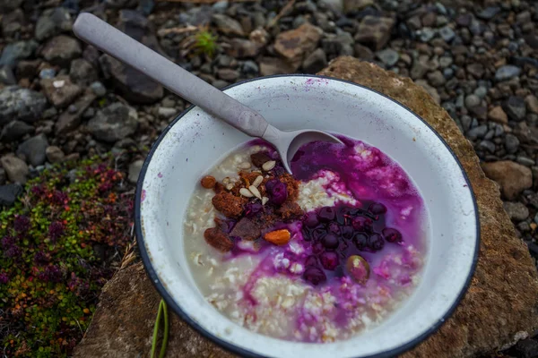 Café Manhã Natureza Vida Selvagem Com Porrige Bagas Frescas — Fotografia de Stock