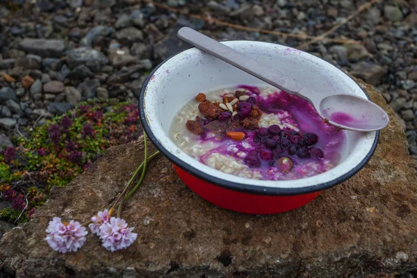 Café Manhã Natureza Vida Selvagem Com Porrige Bagas Frescas — Fotografia de Stock