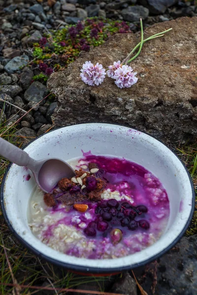 Café Manhã Natureza Vida Selvagem Com Porrige Bagas Frescas — Fotografia de Stock