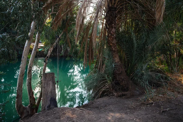 Jordan River Tropical Landscape Israel — Stock Photo, Image