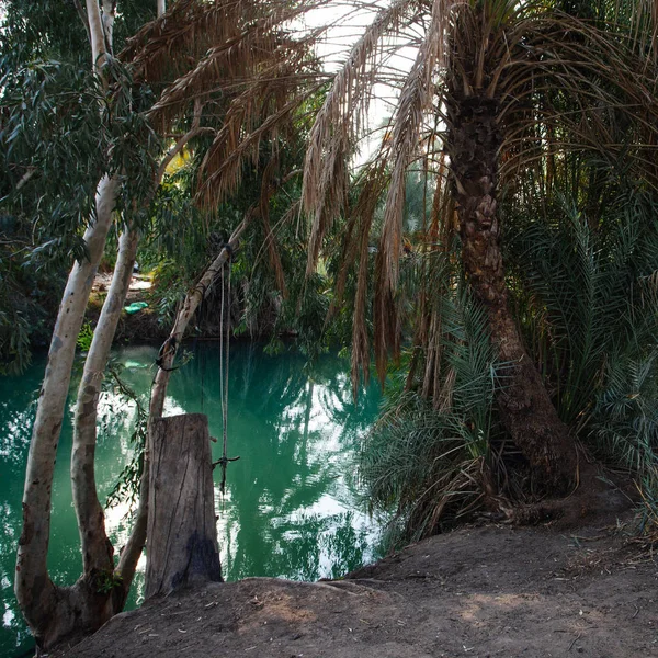 Jordan River Tropical Landscape Israel — Stock Photo, Image