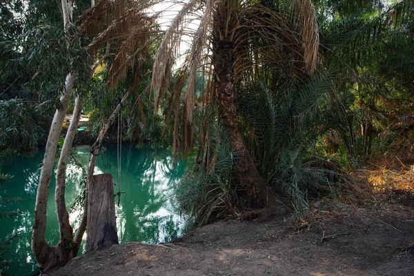 Jordanischer Fluss Mit Tropischer Landschaft Israel — Stockfoto