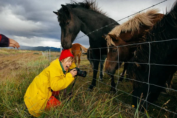 Mulher Turista Roupas Brilhantes Com Belos Cavalos Islândia — Fotografia de Stock