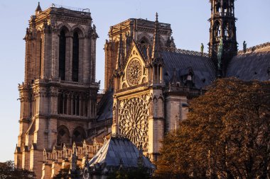 Notre Dame de Paris Katedrali. Paris. Fransa